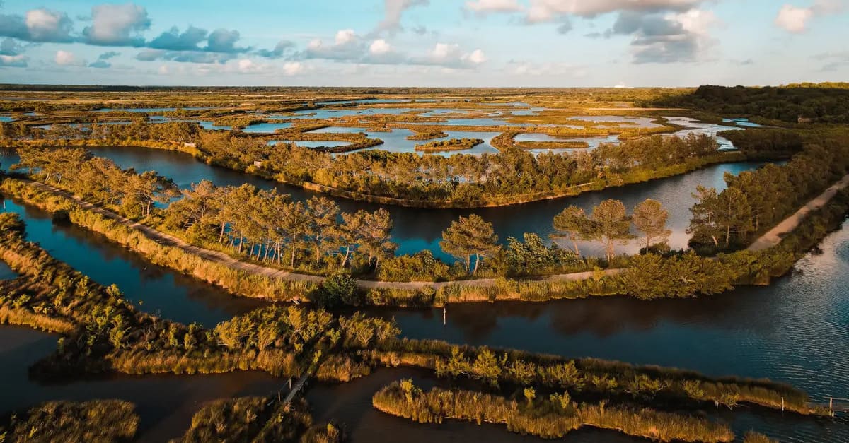 Que faire au Teich ?