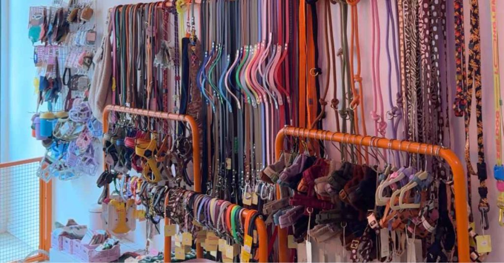 Les Frimeurs à Bordeaux : la boutique préférée de ton chien