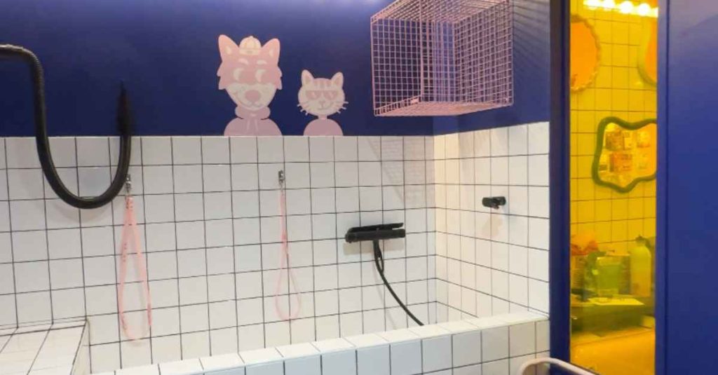 Les Frimeurs à Bordeaux : la boutique préférée de ton chien